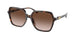 300613 - Tortoise - Brown Gradient