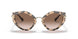 07D0A6 - Havana - Brown Gradient