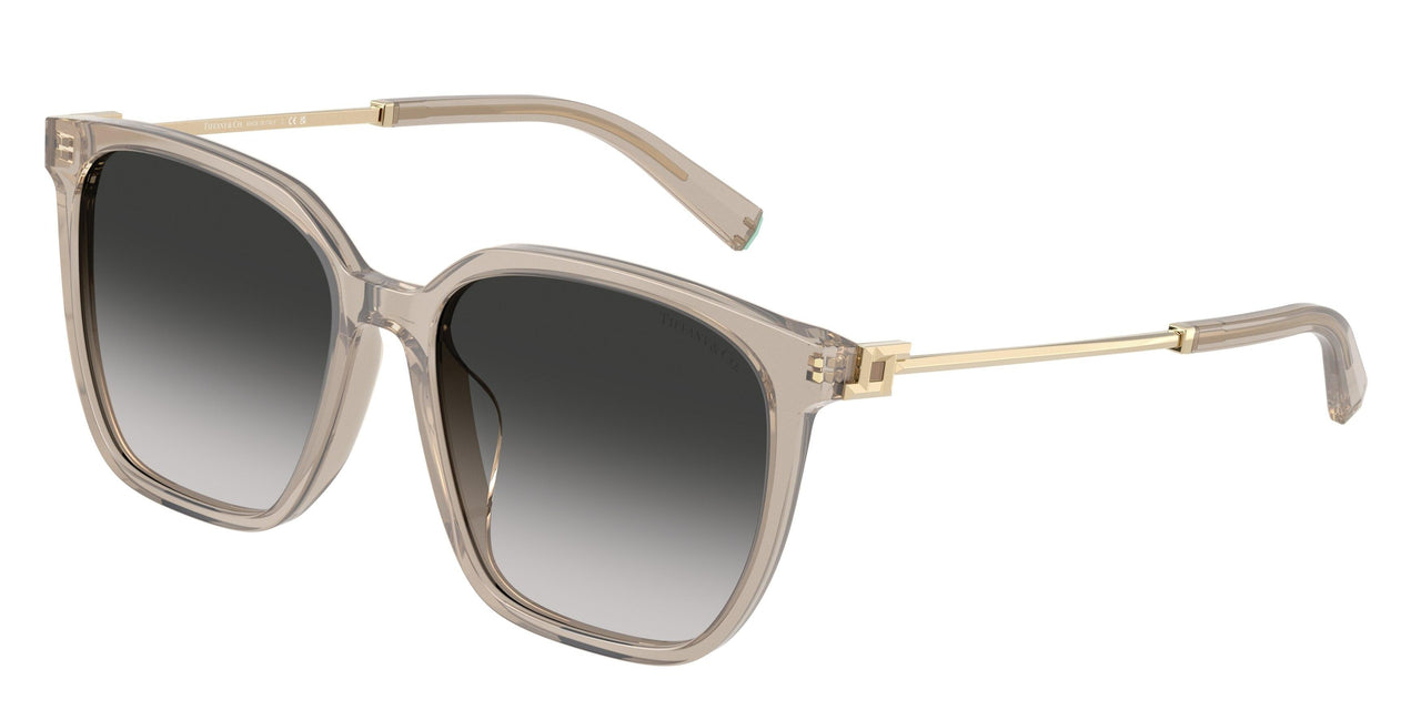 Tiffany 4244D Sunglasses