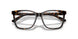 6052 - Tortoise