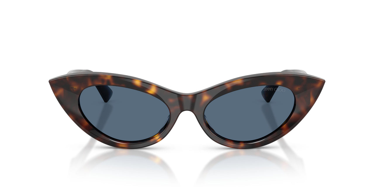 500280 - Tortoise - Dark Blue