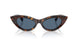 500280 - Tortoise - Dark Blue
