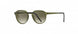 5630 - DEEP NATURE - Olive Green Gradient