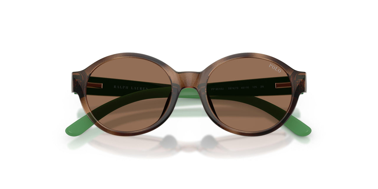 597473 - Tortoise - Dark Brown