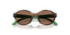 597473 - Tortoise - Dark Brown