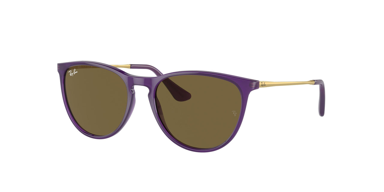 713173 - Violet - Dark Brown