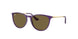 713173 - Violet - Dark Brown