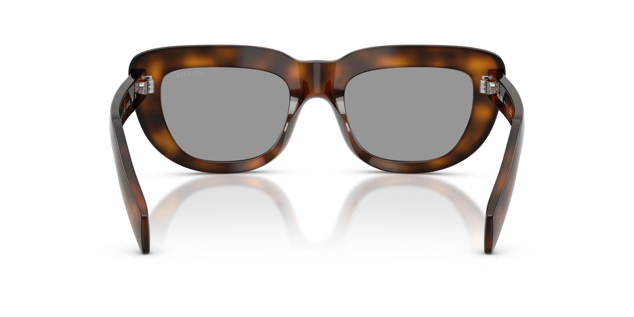 20D50Q - Tortoise - Grey