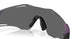 951207 - Violet - Prizm Black