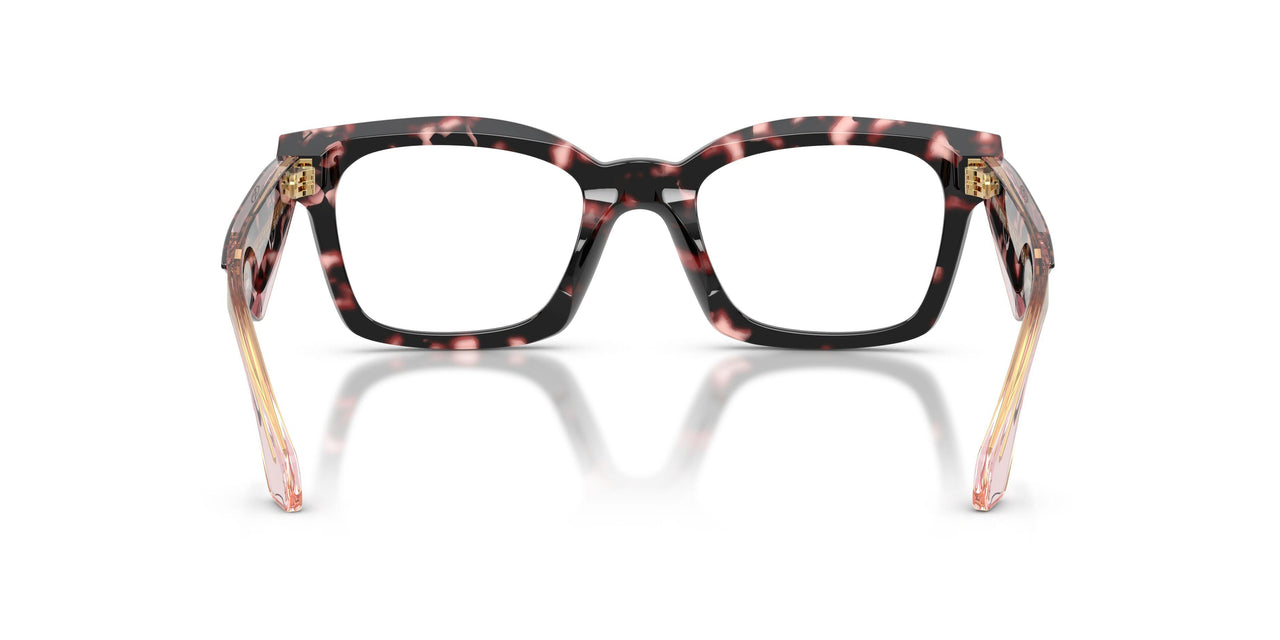 6230 - Tortoise