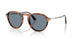 123556 - Brown - Light Blue