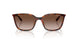 821313 - Tortoise - Brown Gradient
