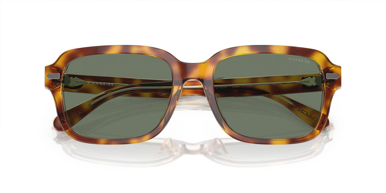 57563H - Brown - Green Solid
