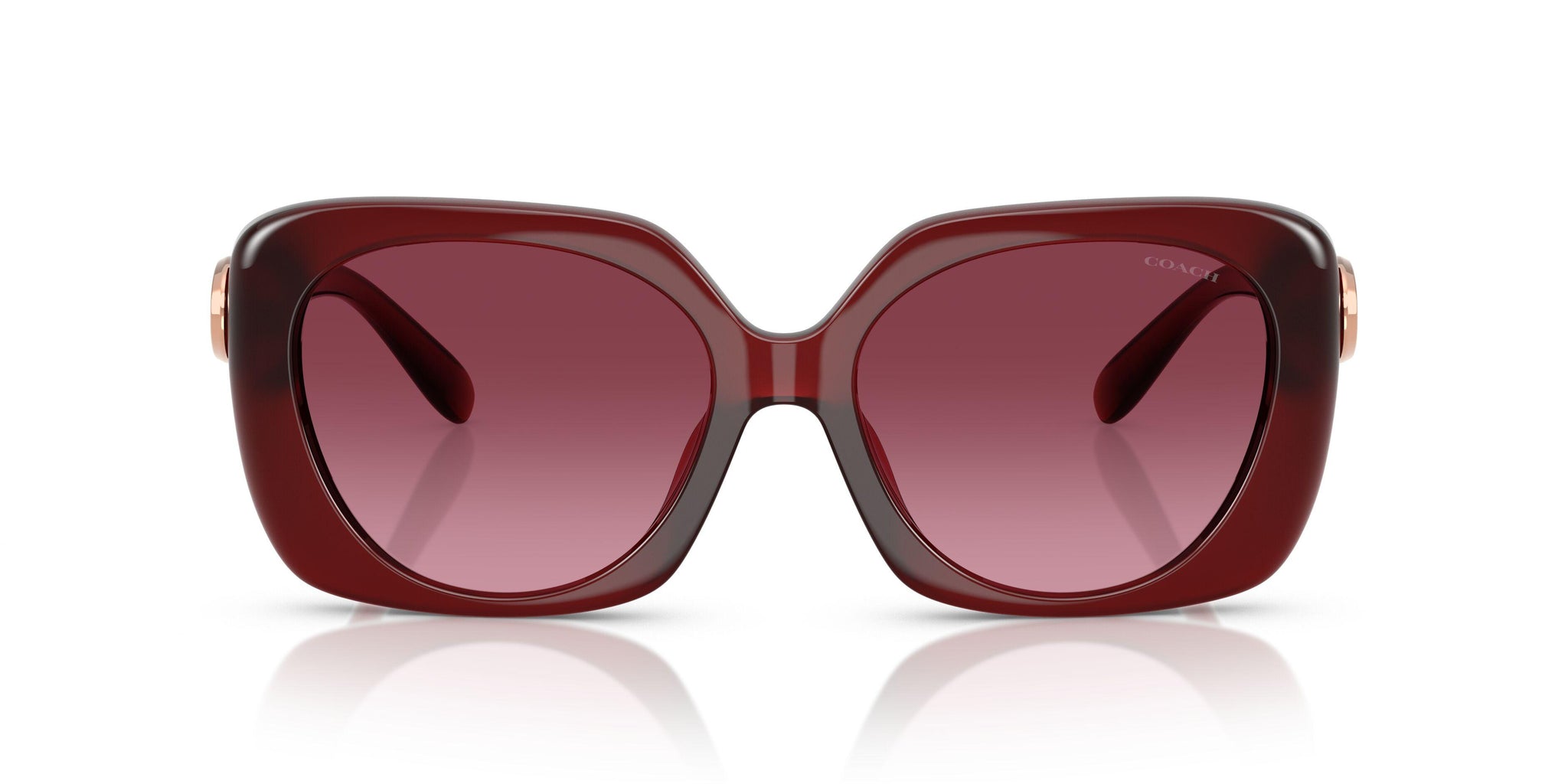 Coach Cad33 8422U Sunglasses display picture 1