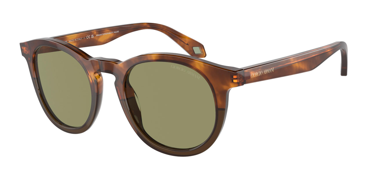 598814 - Brown - Green