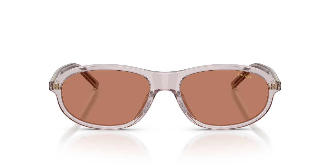 12W10I - Violet - Brown