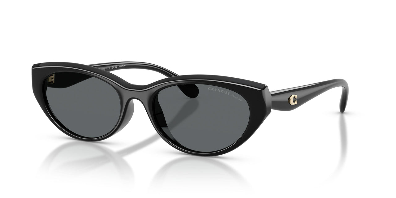 500281 - Black - Grey Solid Polar