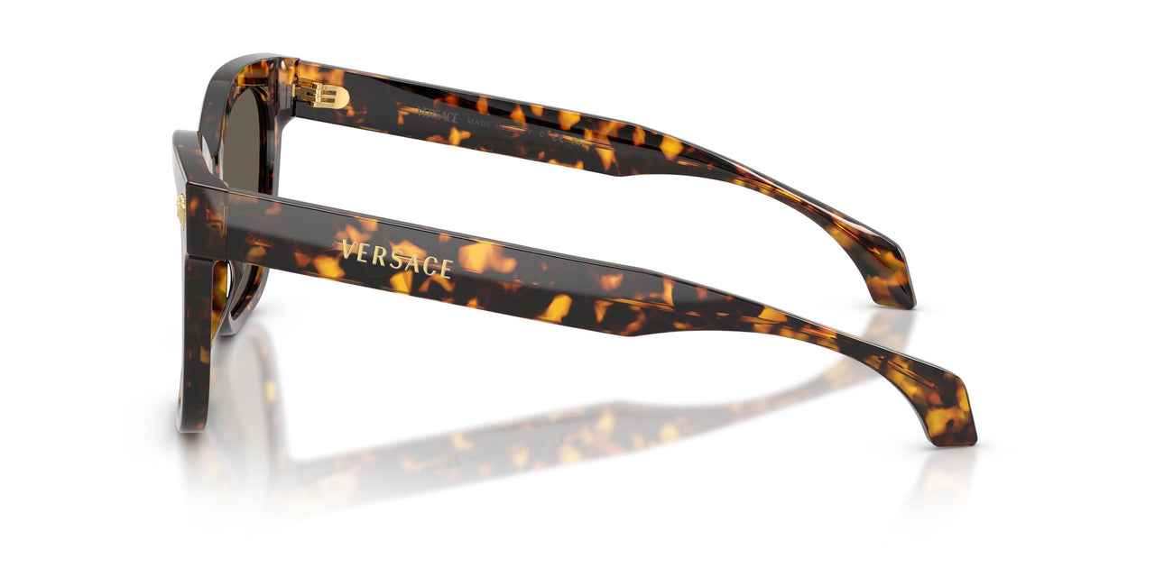 5514/3 - Tortoise - Brown