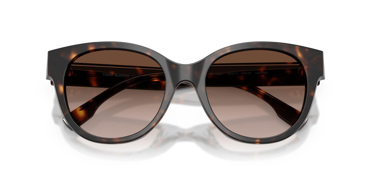 196413 - Tortoise - Dark Tortoise