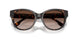 196413 - Tortoise - Dark Tortoise