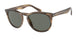 590058 - Brown - Polar Green