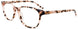 Aspex Eyewear EC490 Eyeglasses