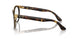 001/M1 - Tortoise - Clear/green