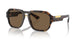 502/73 - Tortoise - Dark Brown
