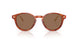 577473 - Tortoise - Brown Solid