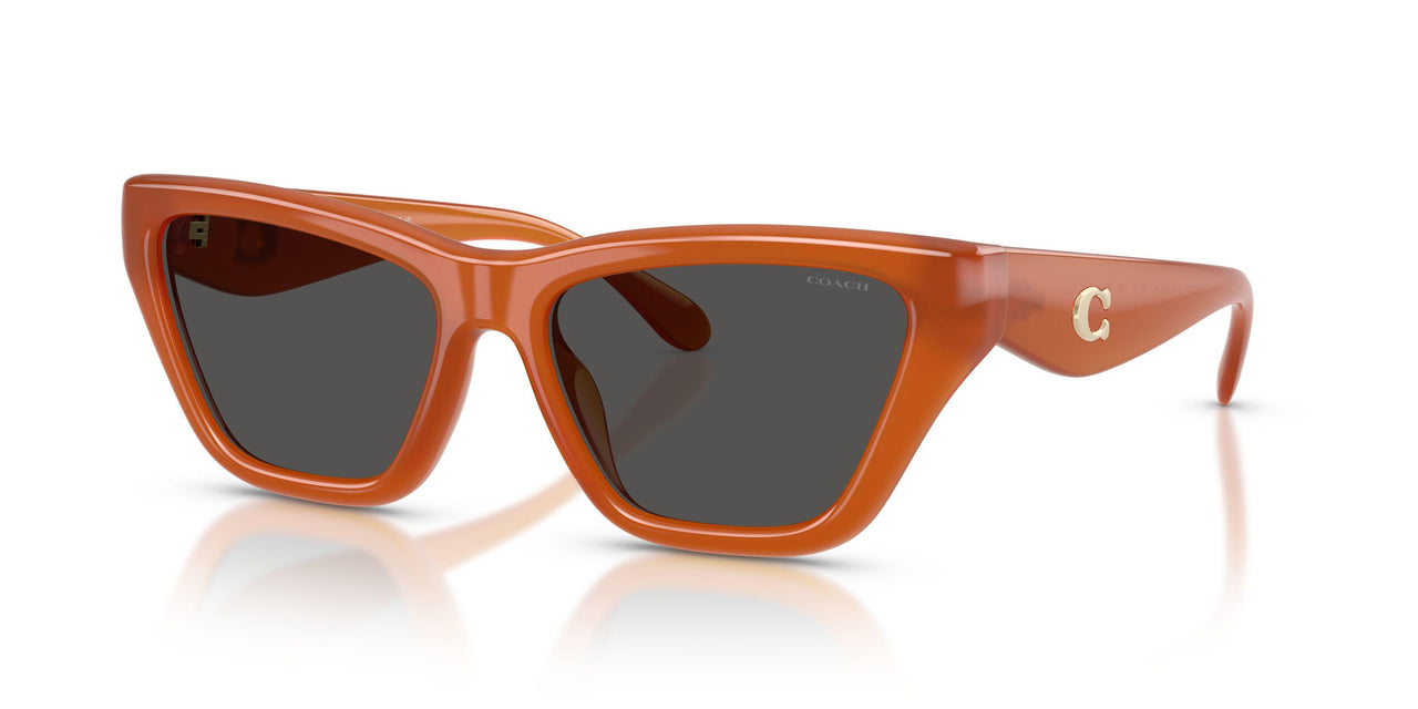 Coach Cdp33 8449U Sunglasses