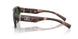 344482 - Brown - Dark Green