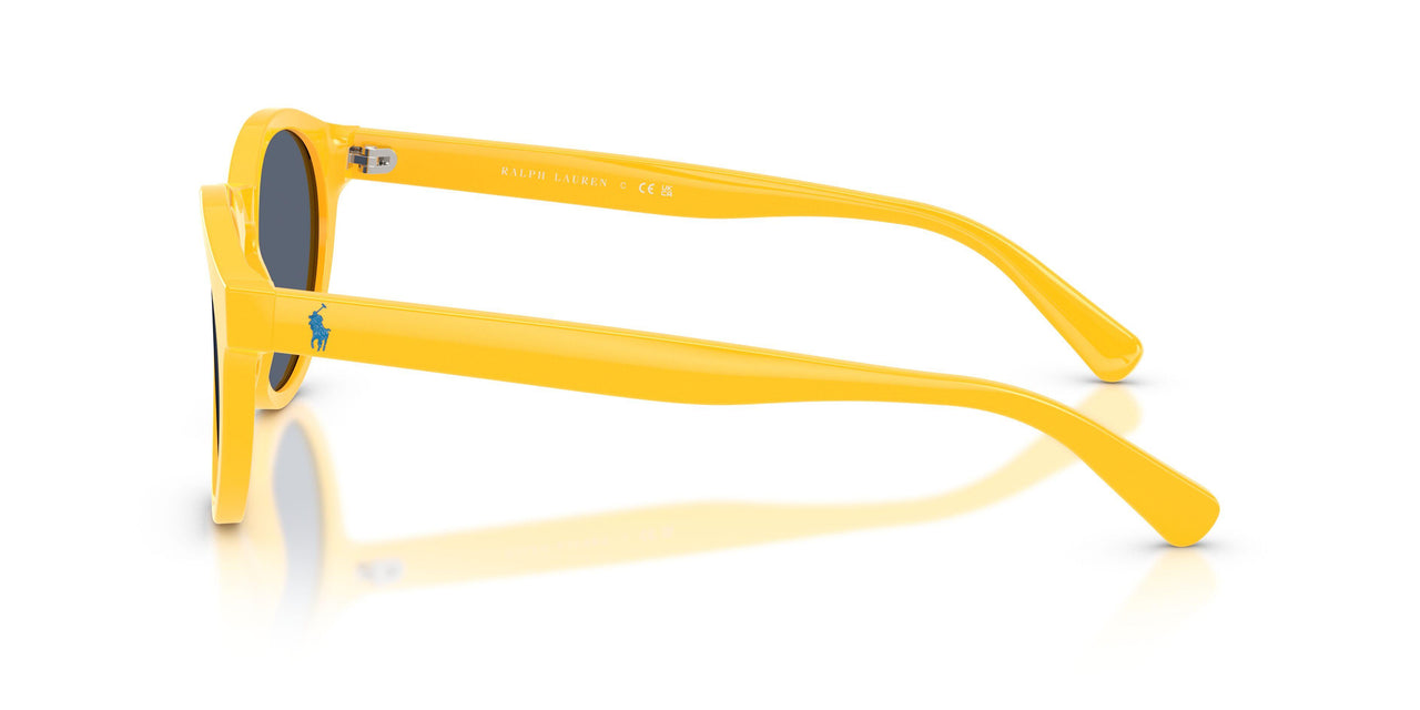 542087 - Yellow - Grey Blue