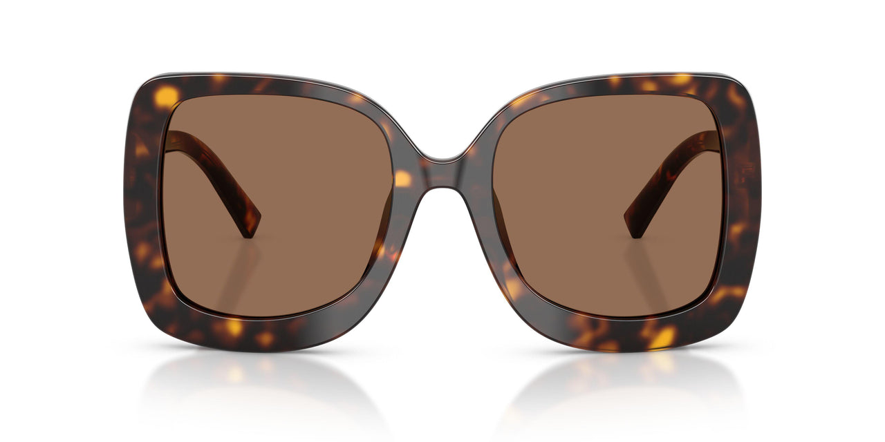 502/73 - Tortoise - Dark Brown