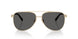 6021S4 - Gold - Dark Grey