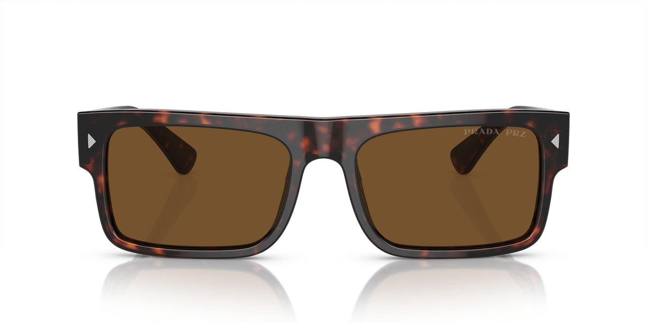 17N01D - Tortoise - Brown Polar