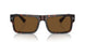 17N01D - Tortoise - Brown Polar