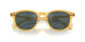 50053R - Tortoise - Dark Grey Mirror Green