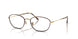 3177 - Tortoise - Clear