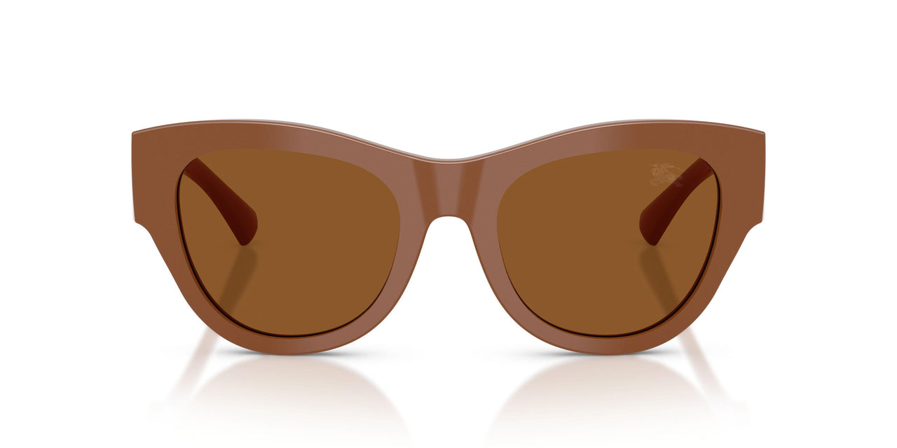 422273 - Brown - Dark Brown