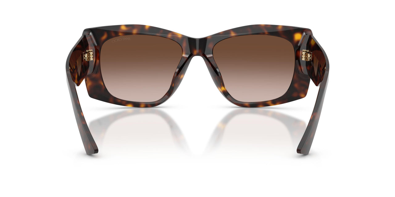 500213 - Tortoise - Brown Gradient