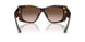 500213 - Tortoise - Brown Gradient