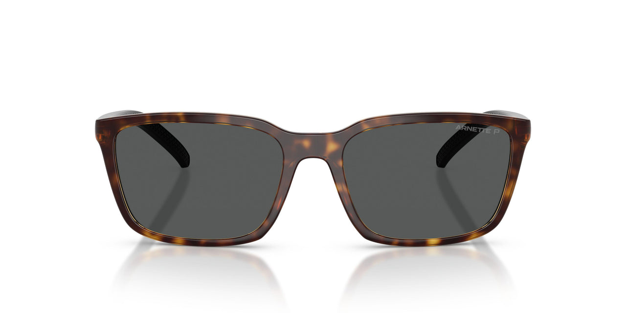 295681 - Tortoise - Dark Grey Polarized
