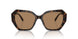 1002M4 - Brown - Photo Brown