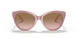 310511 - Pink - Brown Pink Gradient
