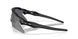 954102 - Black - Prizm Black Polarized