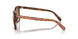 512013 - Tortoise - Brown Pink Gradient