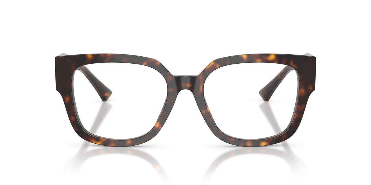 5002 - Tortoise