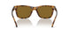 512083 - Havana - Dark Brown Polar