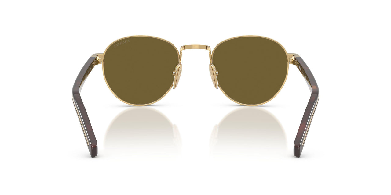 5AK09Z - Gold - Dark Brown