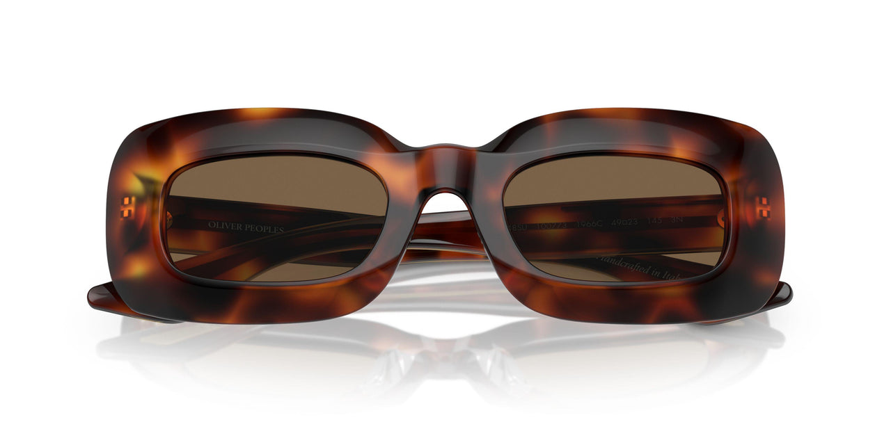 100773 - Tortoise - Brown